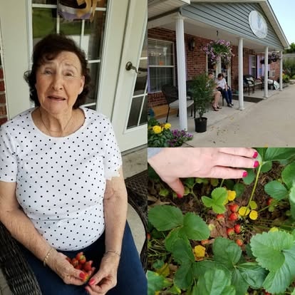 A resident holding fresh strawberries she picked, with the Lavender Fields front porch behind her